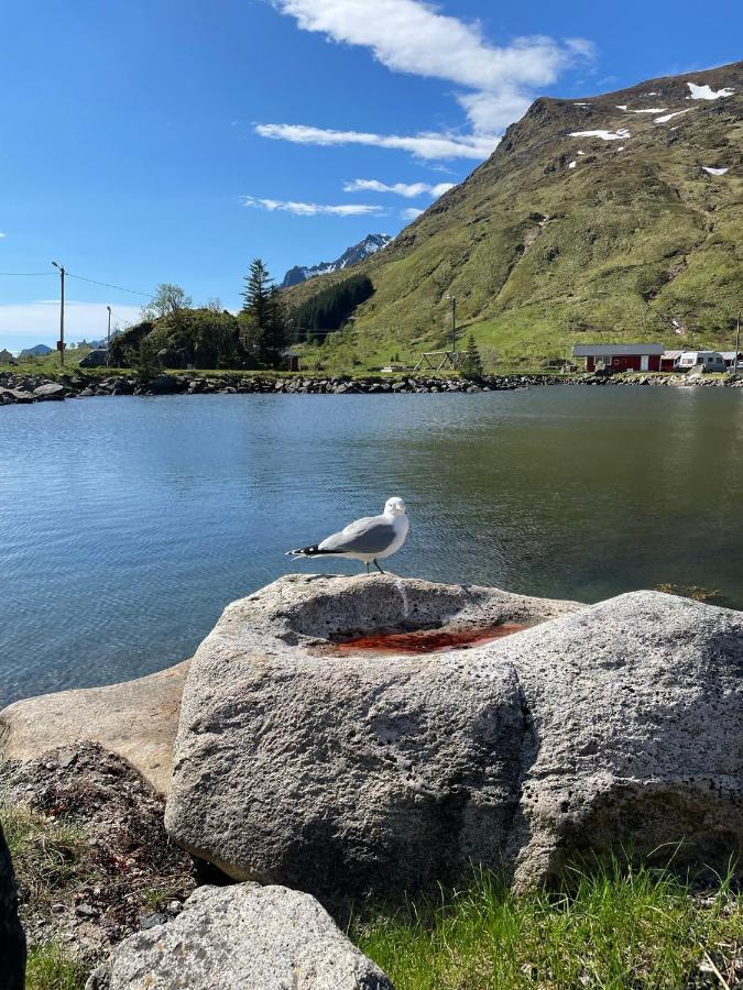 Brustranda Fjordcamping Valberg Exterior photo